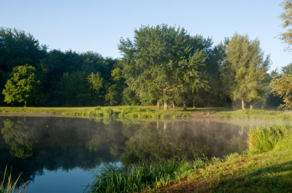 Auch der Birkensee Nürnberg ist von Wald umgeben und lädt zum Baden ein.